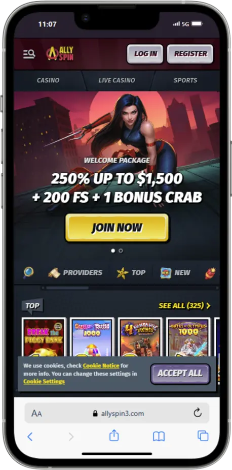 Official Website AllySpin