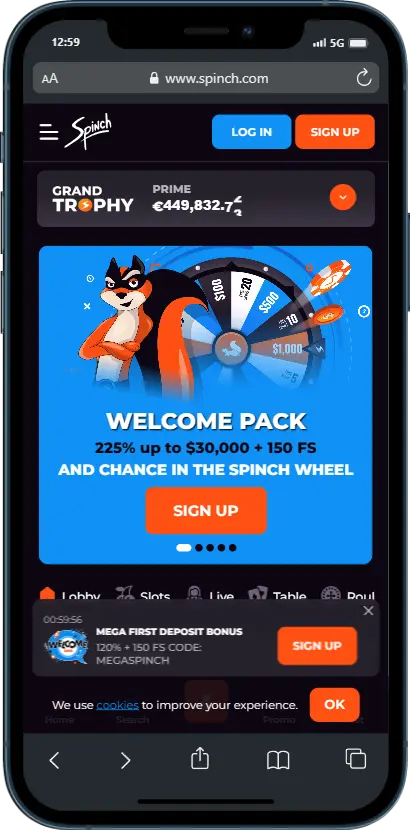 Official website Spinch